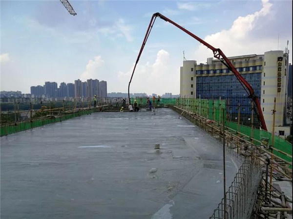 1544061057870416.jpg 13.jpg