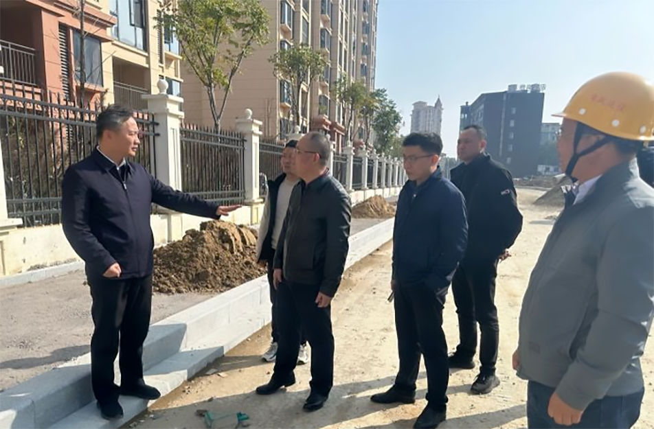 青山湖區(qū)黨委副書記、區(qū)長楊育星到利民路項目調(diào)研